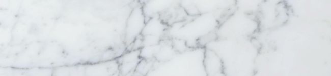 PLUM2015's header image
