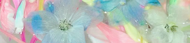 くん。。's header image