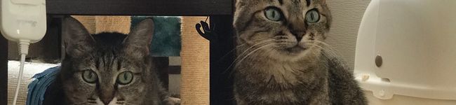 ainakanata's header image