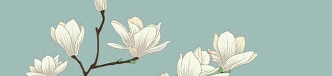 おみそとおぬの's header image