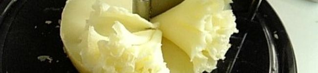 フィオママ's header image