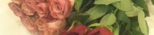 DEVIL-R's header image
