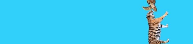 8810マン's header image