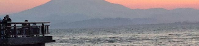 ホワイトバンビ☆'s header image