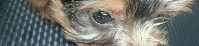cakmam's header image