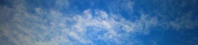 mikochang's header image