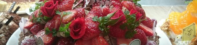 cyatarou33's header image