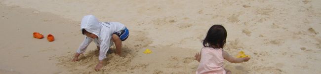 pauparu's header image