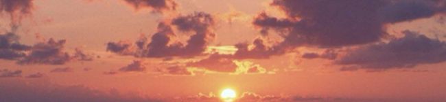 ながと亭's header image