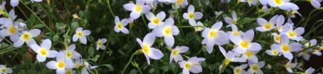OKAN食堂's header image