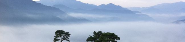 satocchu's header image