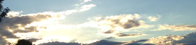 Ap19rct_D's header image