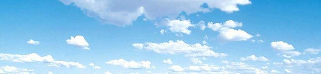 はーーる's header image
