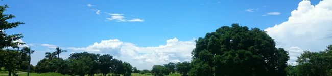 ☆baobab☆'s header image