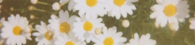 なむこ。's header image