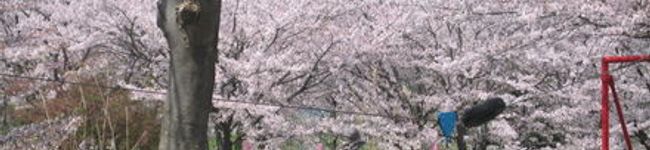 優優ママ's header image