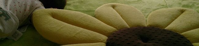immigrant's header image