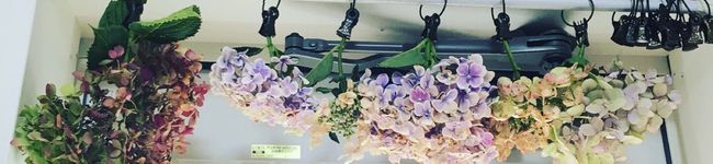 艶子さんッ's header image