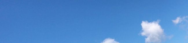 お留守番係's header image