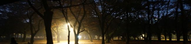 残留日本兵's header image
