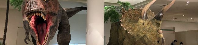 恐竜ママ☆'s header image
