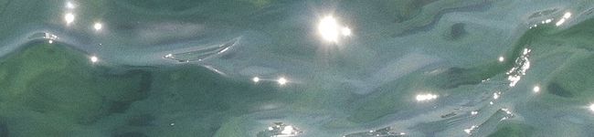 ぴのたべものきろく's header image
