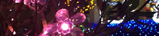 ぴとmix's header image