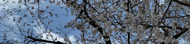 La_m's header image