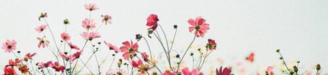 mile8's header image