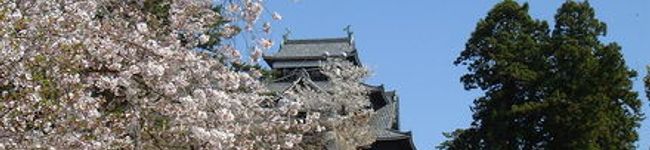 ヨコヤマ's header image