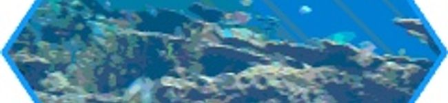 kuji's header image