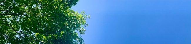 渡辺家の嫁's header image