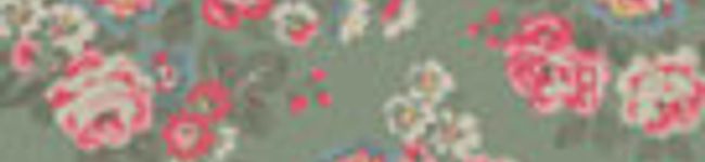 まどがえる's header image