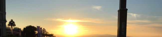 干しあんず☆'s header image