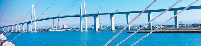 nittinon's header image