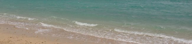 momoa☆'s header image