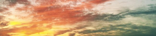 ❁Hotaru❁'s header image
