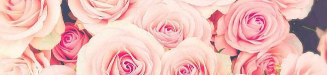 れおぽよ❤'s header image