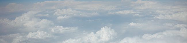 つんころがし's header image