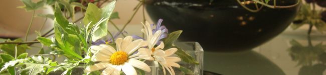 mysweethome2525's header image