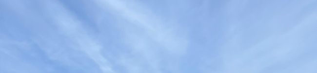 ぴっぴ🐣's header image