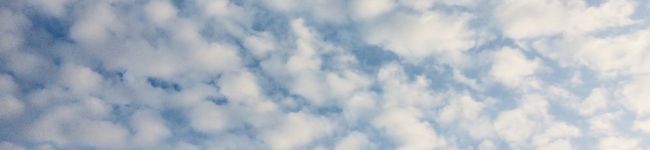 すーじーりん's header image