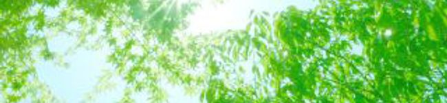 ひぃｗ's header image