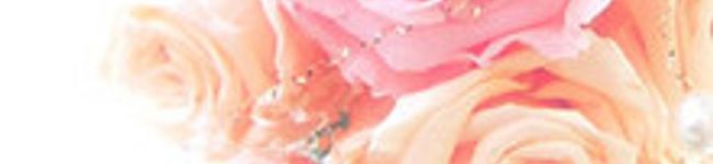 ローズフラワー's header image