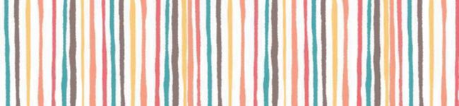 CHIP48's header image