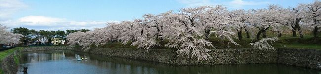 雪餅。's header image