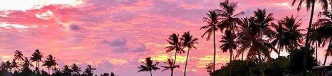 抹♡茶's header image