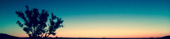 ぴょん吉丸☆'s header image