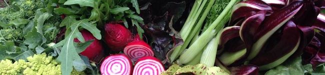 ヨーロッパ野菜研究会's header image