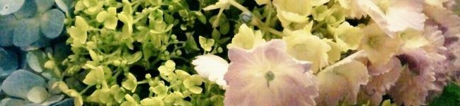 momomo2top's header image